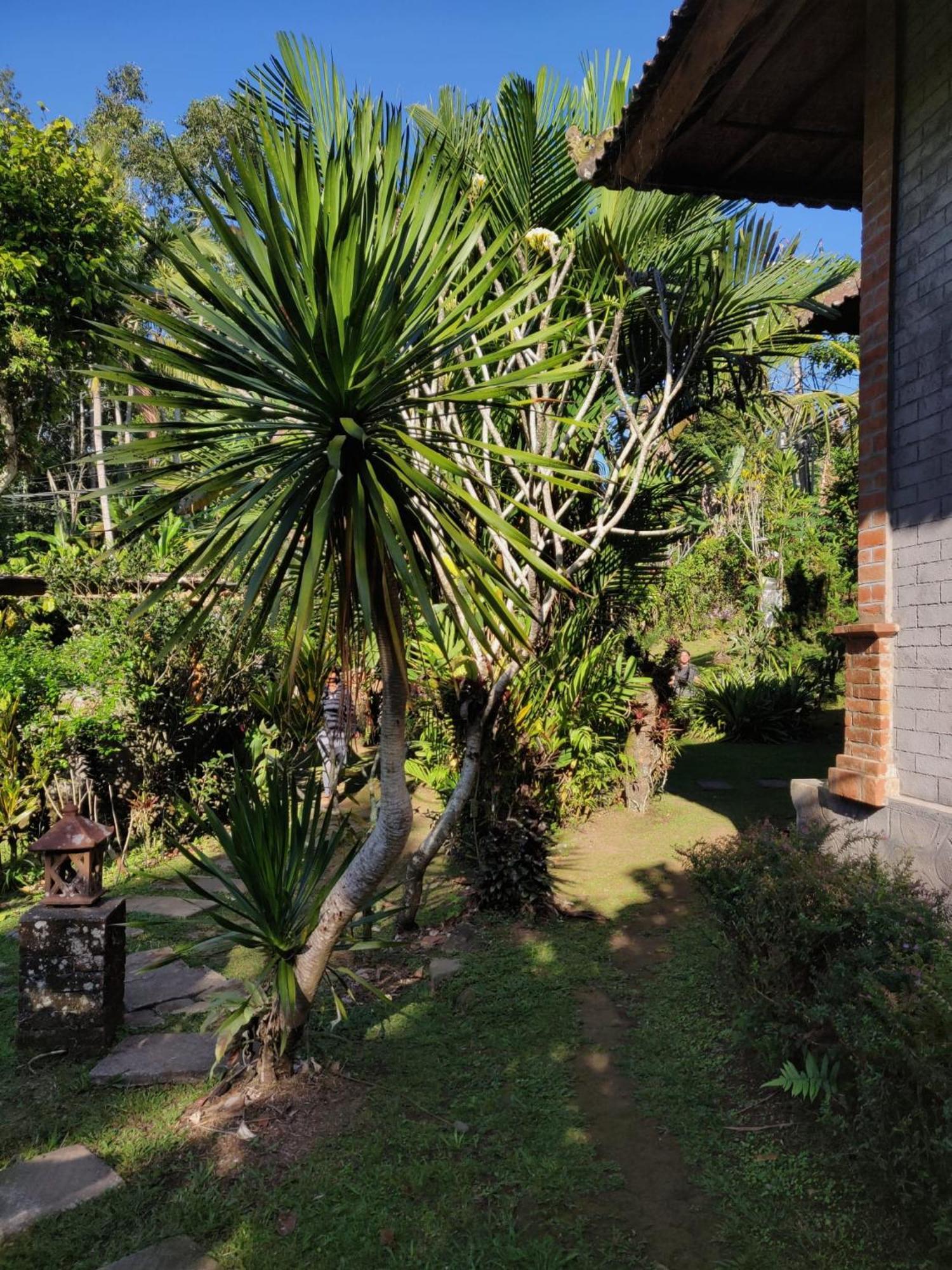 Dina Home Stay At Desa Wisata Wongayagede Jatiluwih Exterior photo
