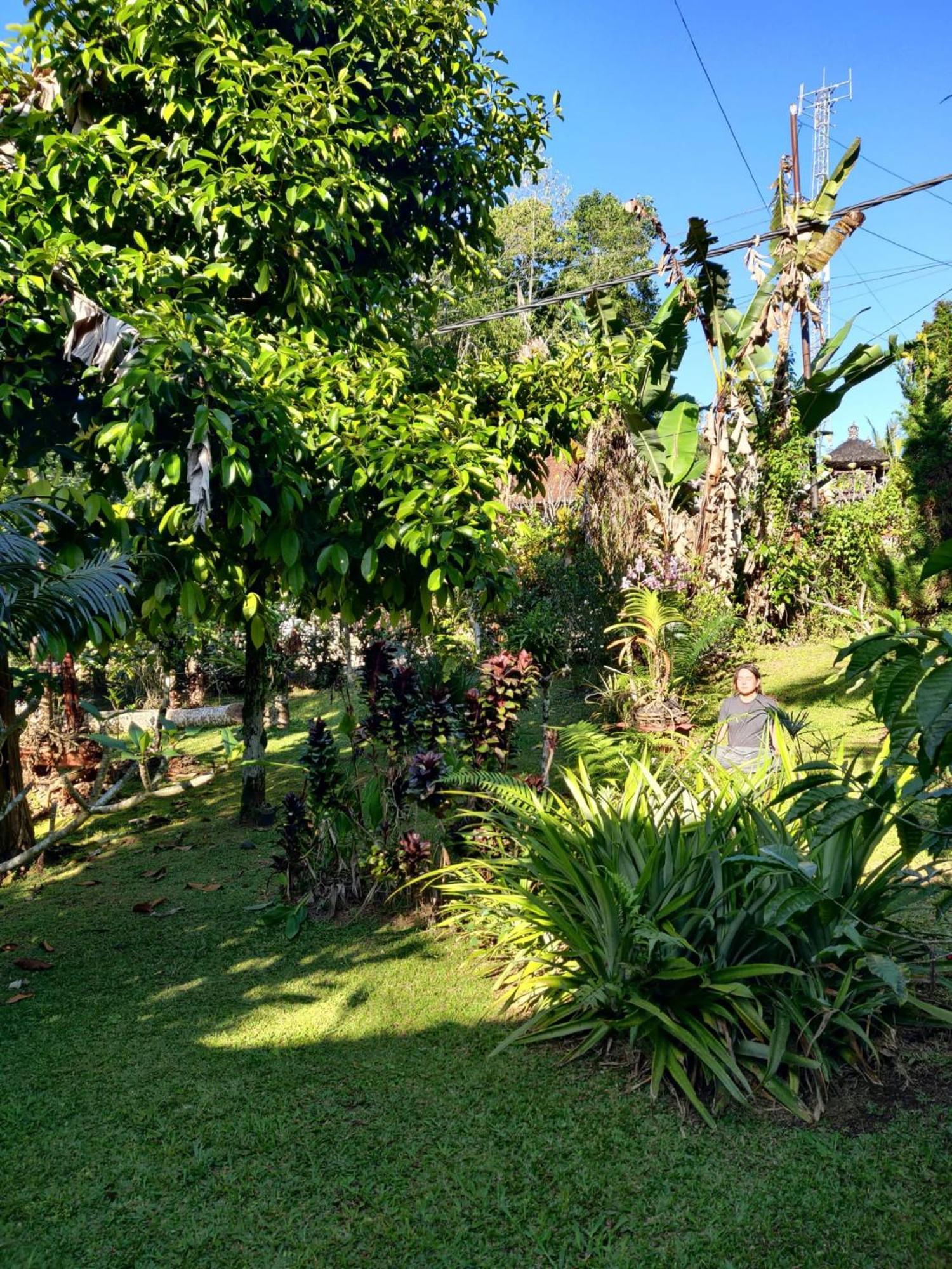 Dina Home Stay At Desa Wisata Wongayagede Jatiluwih Exterior photo