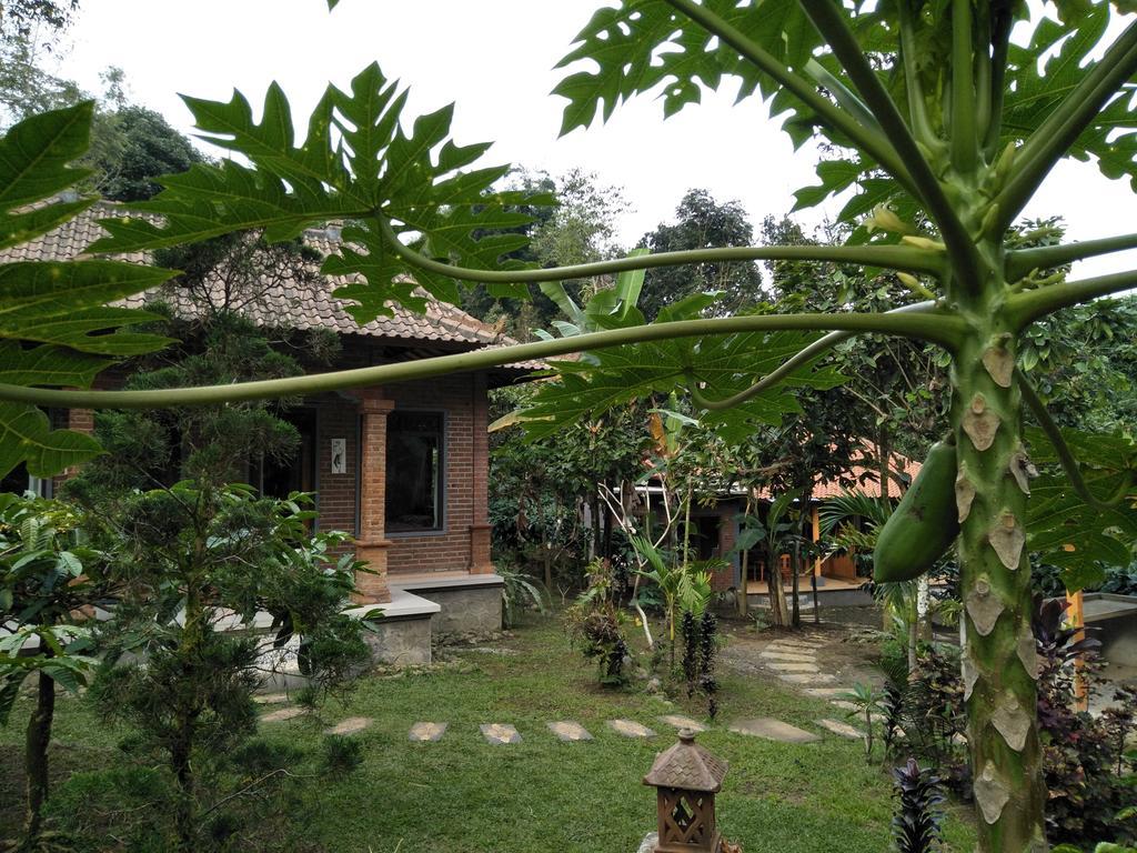 Dina Home Stay At Desa Wisata Wongayagede Jatiluwih Exterior photo