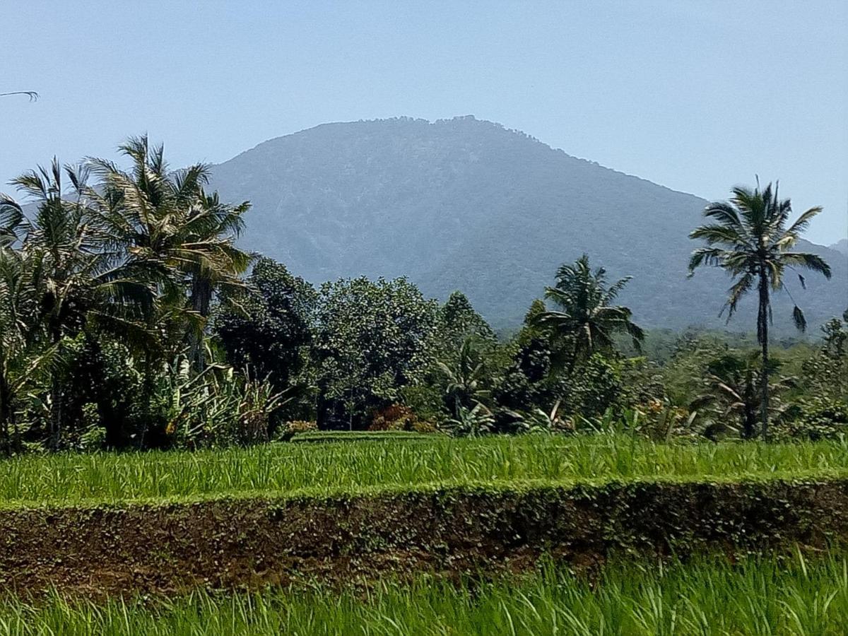 Dina Home Stay At Desa Wisata Wongayagede Jatiluwih Exterior photo