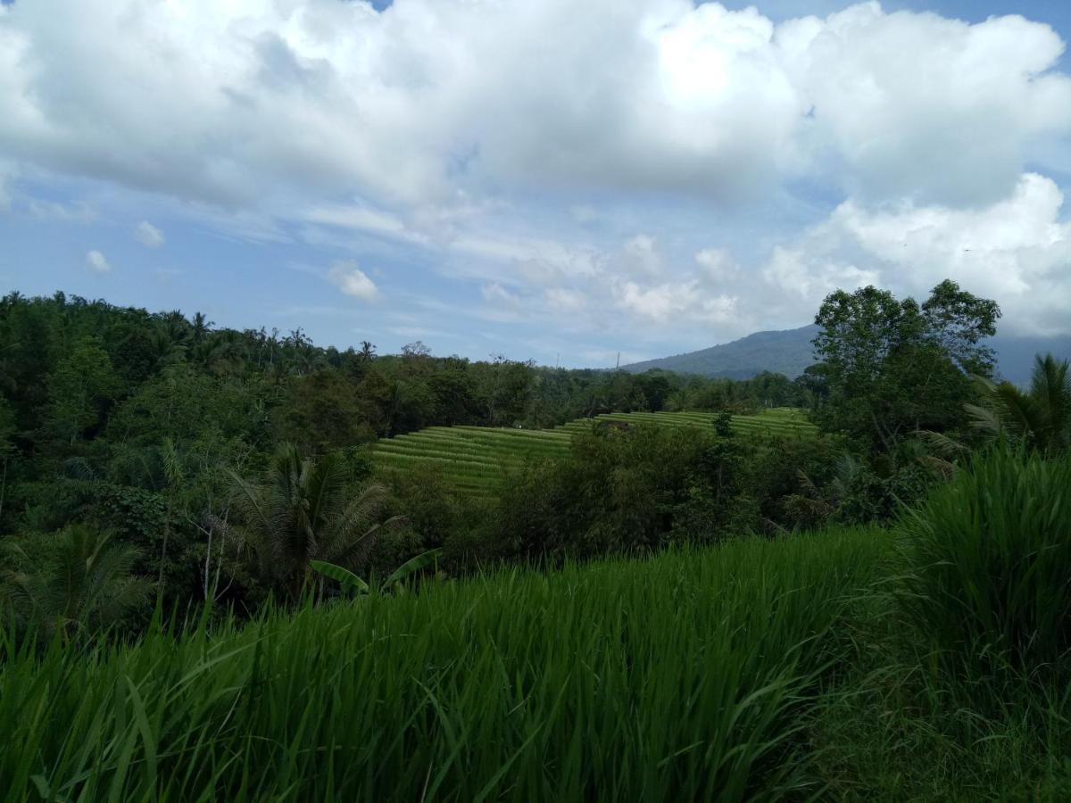 Dina Home Stay At Desa Wisata Wongayagede Jatiluwih Exterior photo